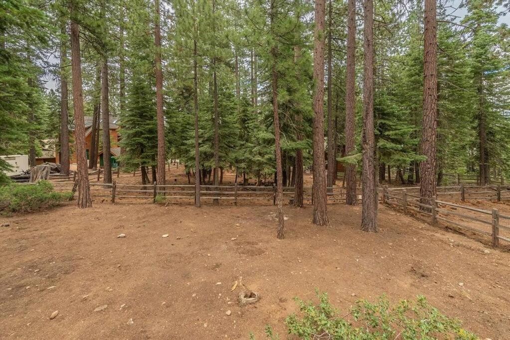Cozy Pet-Friendly Cabin W Fenced-In Yard Close To Slopes Beach Town Carnelian Bay Ngoại thất bức ảnh